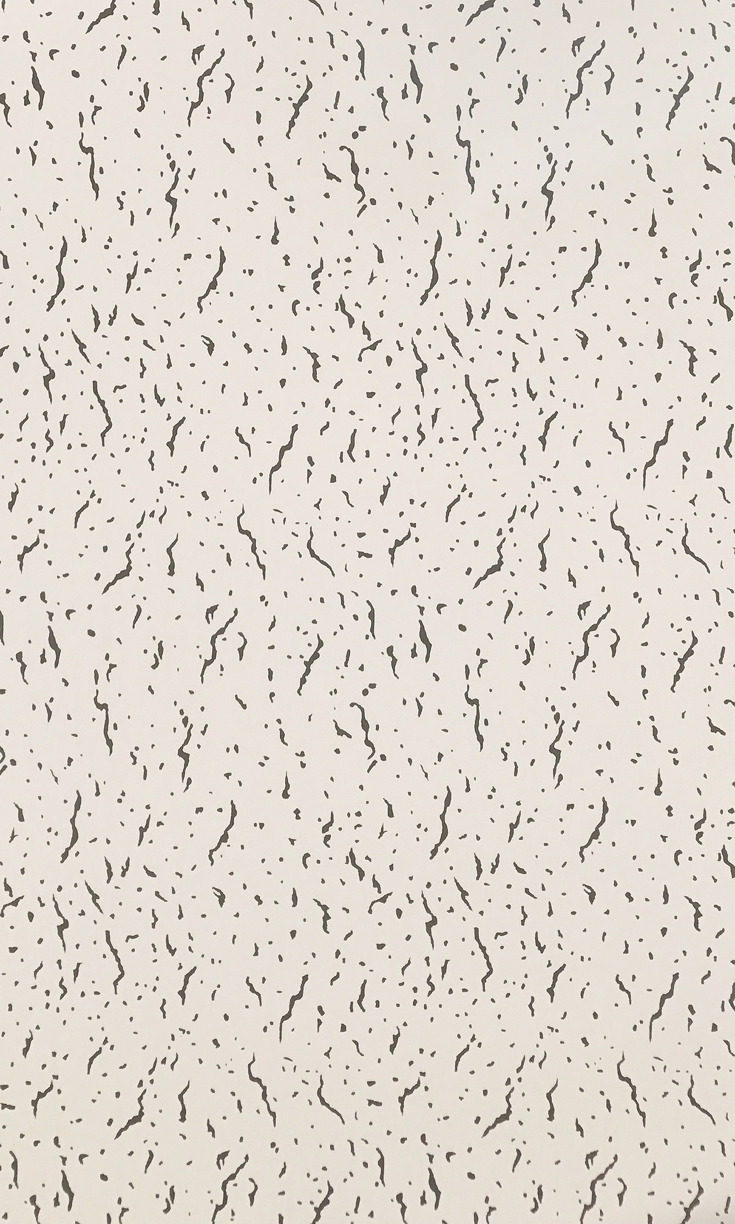 PVC Suspended Ceilings